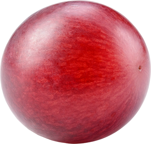 Azra_assets_05