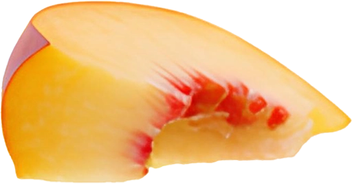 Azra_assets_09
