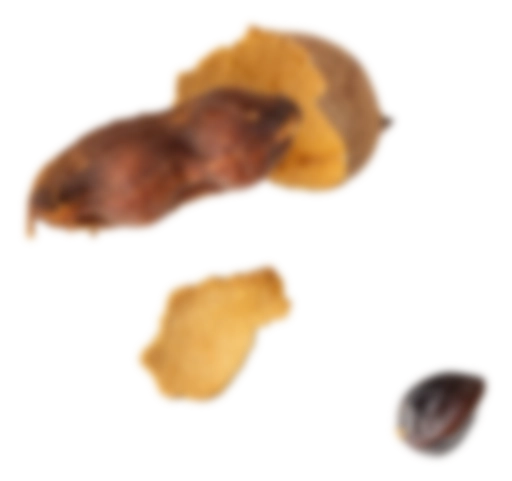 Azra_assets_19