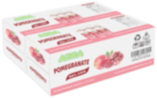 Azra_box_06