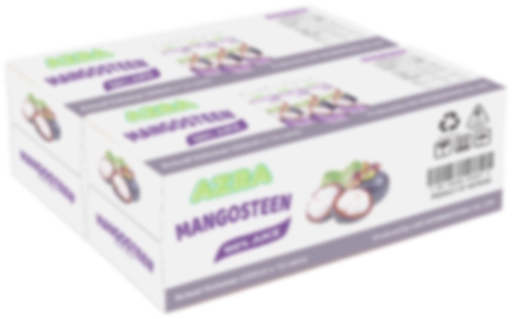 Azra_box_08