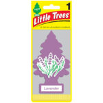 Little Tree LAVENDER 24 Count