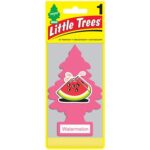 Little Tree WATERMELON 24 Count